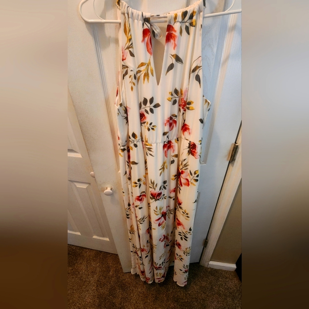 Torrid sleeveless floral dress with liner